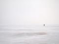 16372053770_1d1d643761_z.jpg