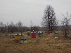 Пасека, церковь Покрова на Нерли