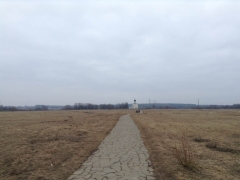 IMG_3516.JPG