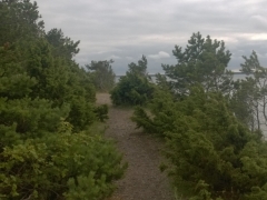 обрыв Панга, остров Сааремаа