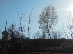 DSCN2655