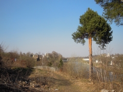 DSCN2659