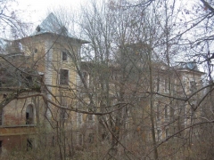 Высокое, усадьба Шереметьевых, руины главного дома