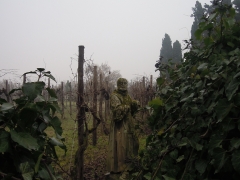 Торчелло, виноградник со скульптурами